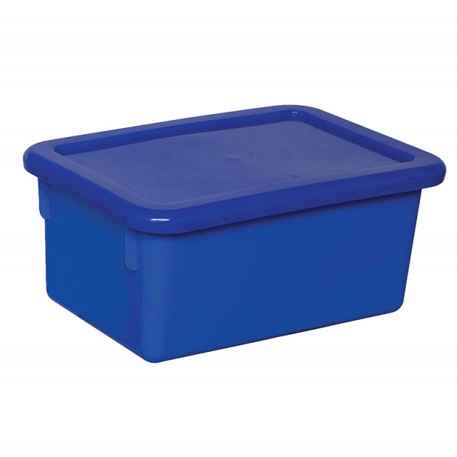 Standard Size cubbie Tray with lid